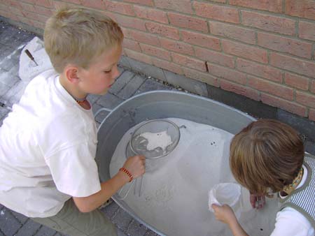 Sommerfest Essig 08 034