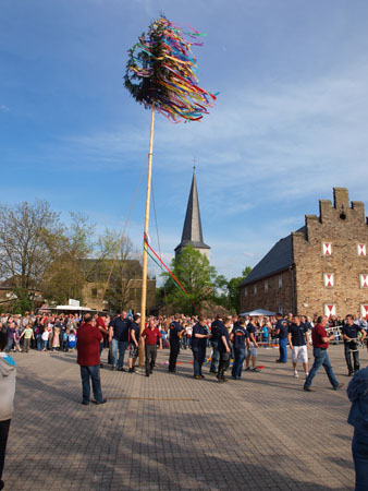P4302303