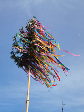 P4302304